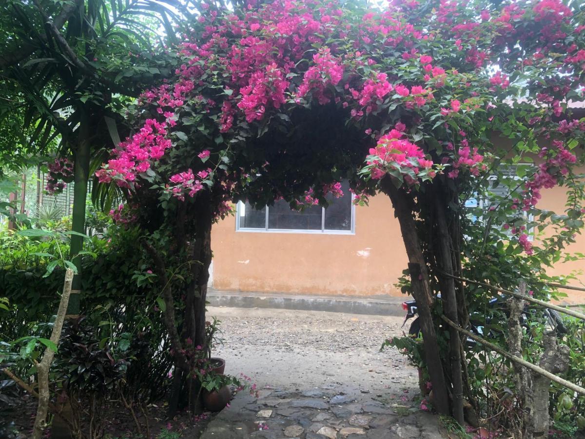 Tara Guesthouse - Sauraha,Chitwan Экстерьер фото