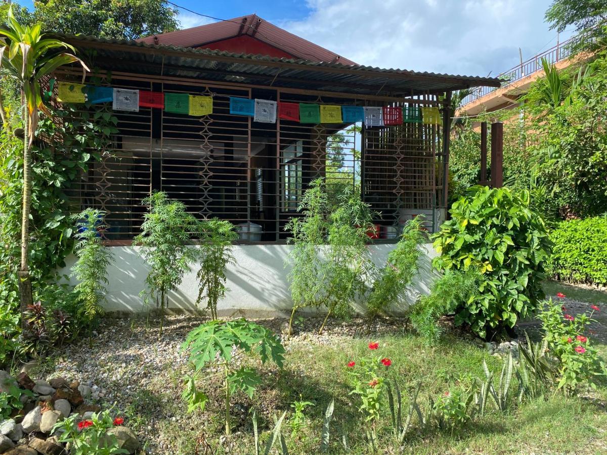 Tara Guesthouse - Sauraha,Chitwan Экстерьер фото