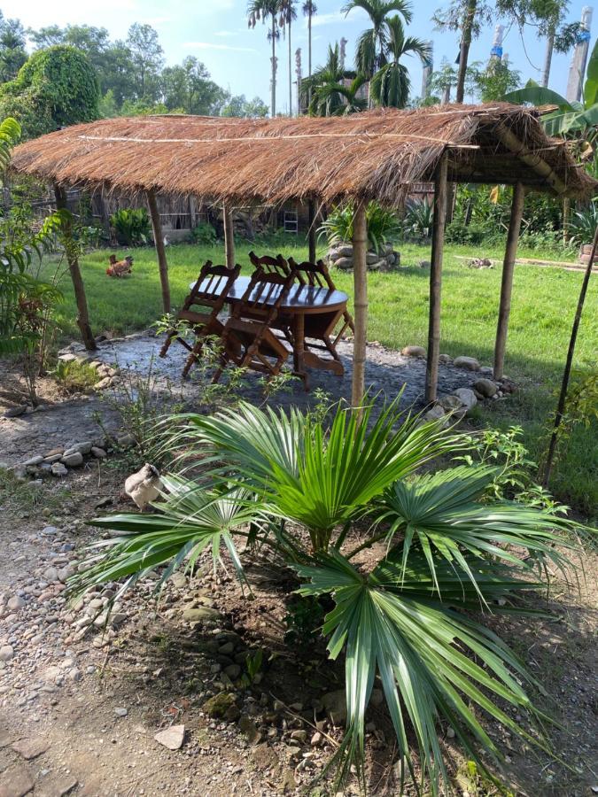 Tara Guesthouse - Sauraha,Chitwan Экстерьер фото