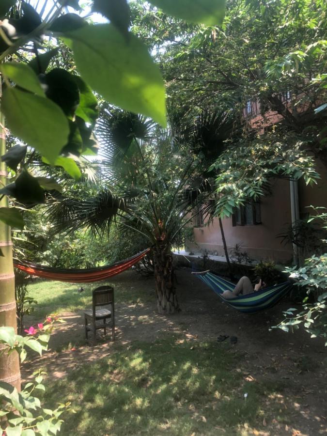 Tara Guesthouse - Sauraha,Chitwan Экстерьер фото