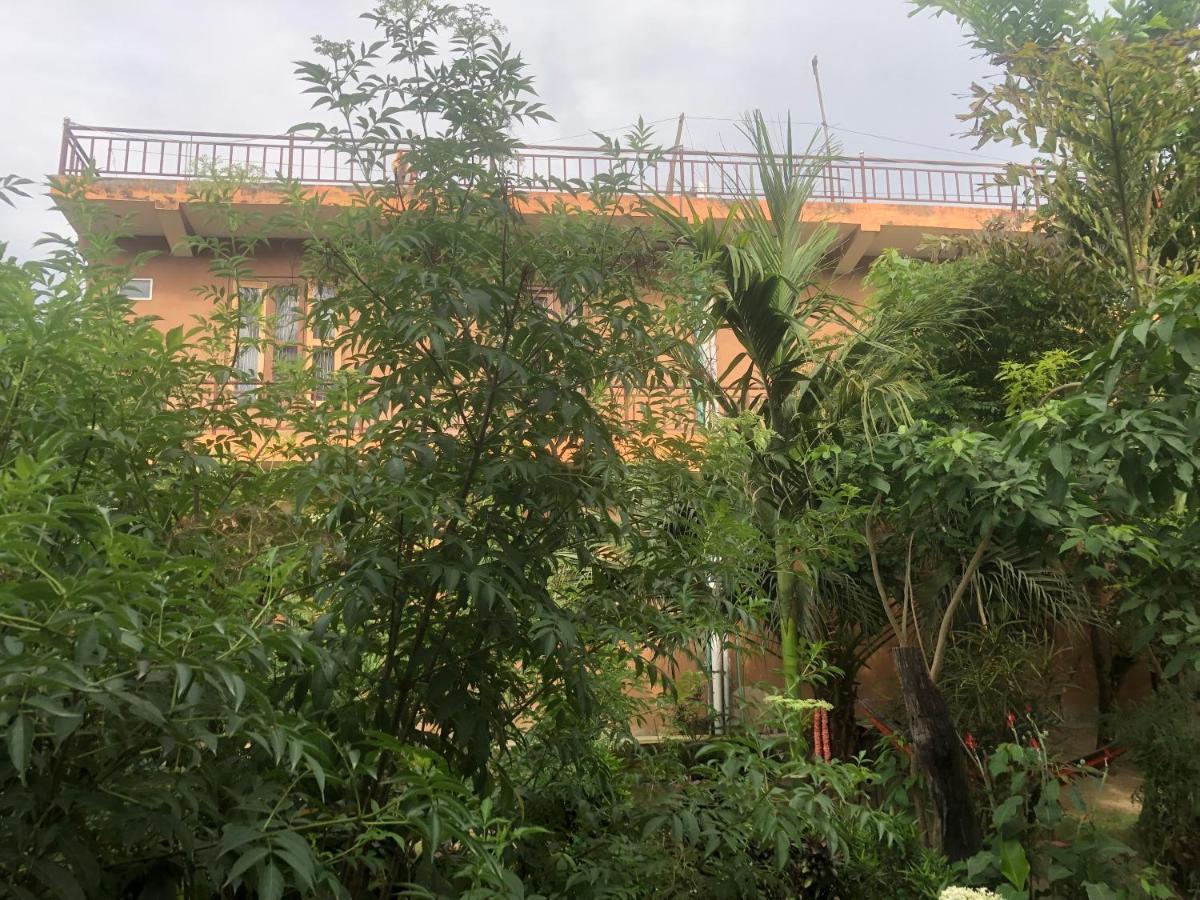 Tara Guesthouse - Sauraha,Chitwan Экстерьер фото