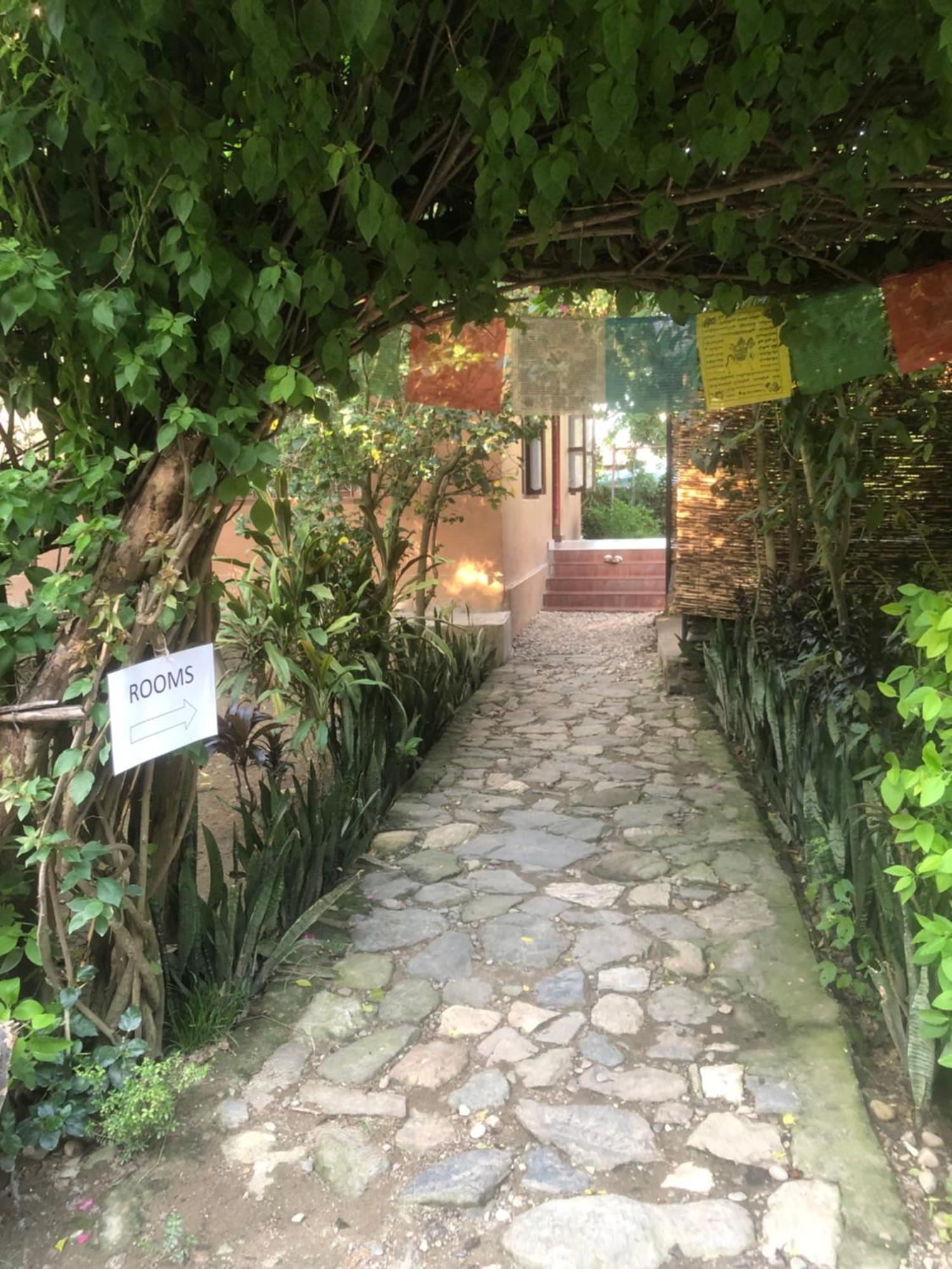 Tara Guesthouse - Sauraha,Chitwan Экстерьер фото