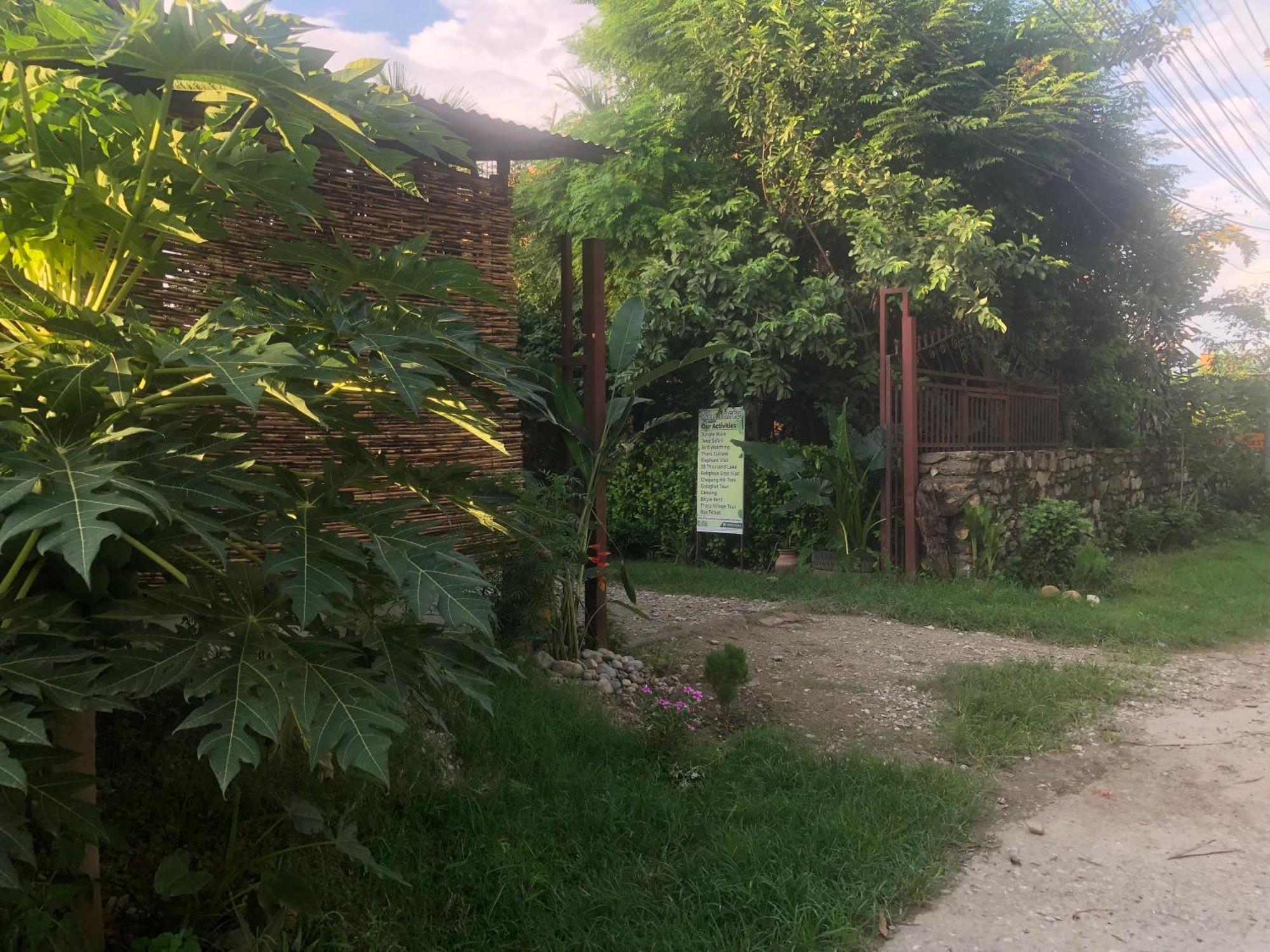 Tara Guesthouse - Sauraha,Chitwan Экстерьер фото